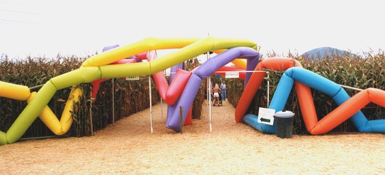 Cornfield Maze, Pacific Earth, 1999